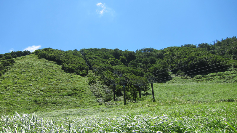 d0141173_2282837.jpg