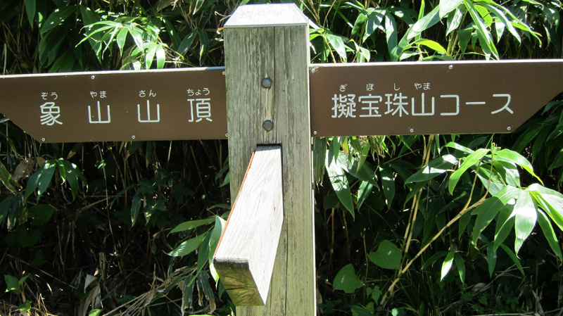 d0141173_2283519.jpg
