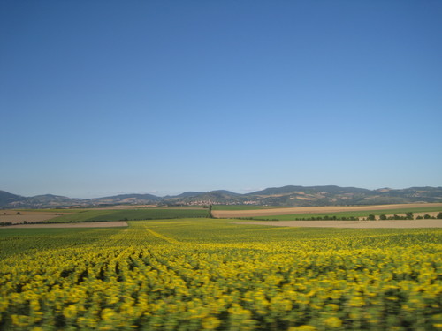 b0191284_1431639.jpg