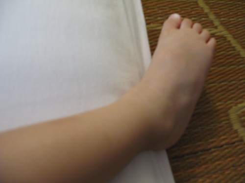 d0165689_1424225.jpg