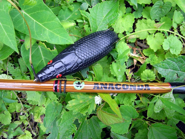 雷魚釣りに思うこと 只今flyリハビリ中 雷魚釣りに思うこと 只今flyリハビリ中