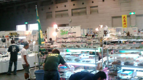 c0165803_18491249.jpg