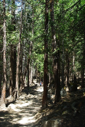 f0038904_2333712.jpg