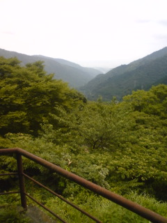 a0071805_1452056.jpg