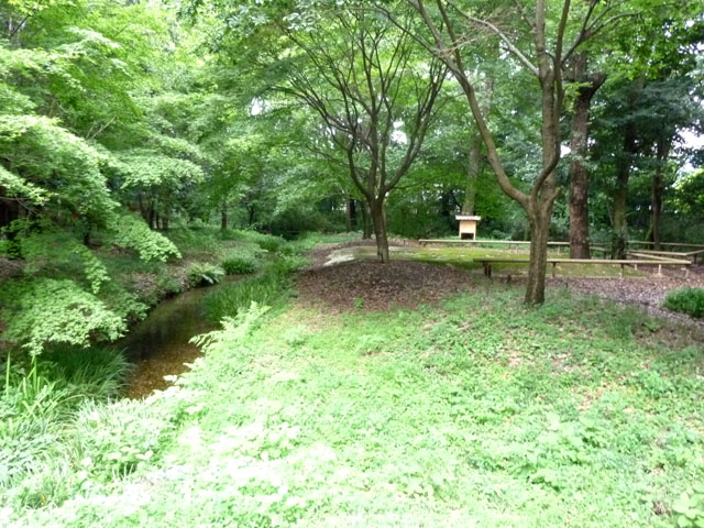 京都の夏 納涼古本まつり_e0048413_11504638.jpg