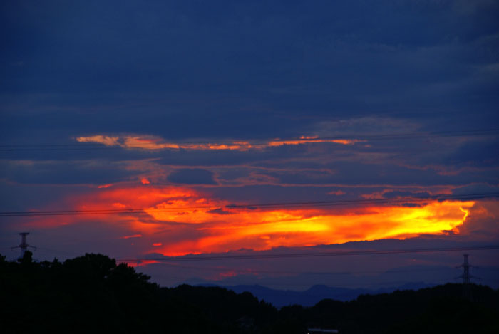 夕焼けの欠片_e0077521_2251631.jpg