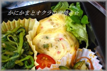 チキンとオクラの和風トマト夏カレー_d0104926_303137.jpg