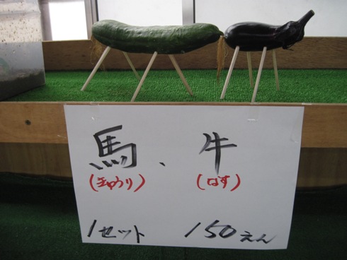 キュウリと茄子の不思議_b0140235_2345547.jpg