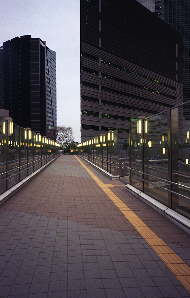 e0006135_23244498.jpg