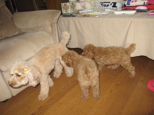 c0122744_01377.jpg
