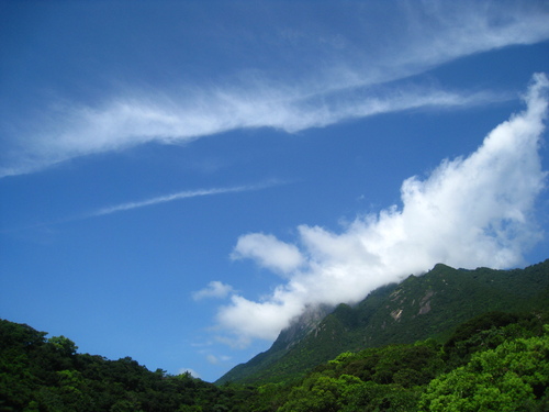 b0160957_17335429.jpg