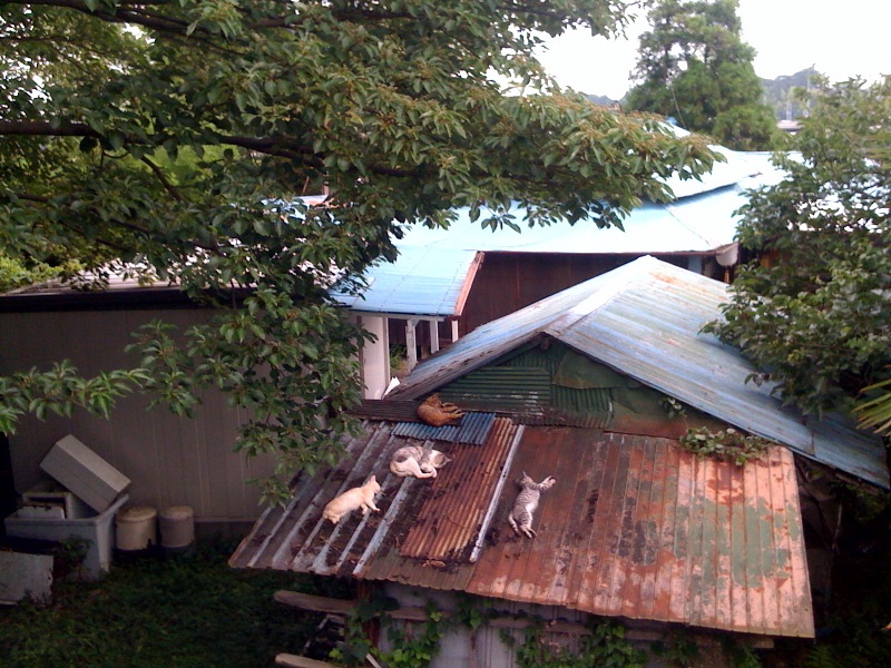 b0176557_22342485.jpg