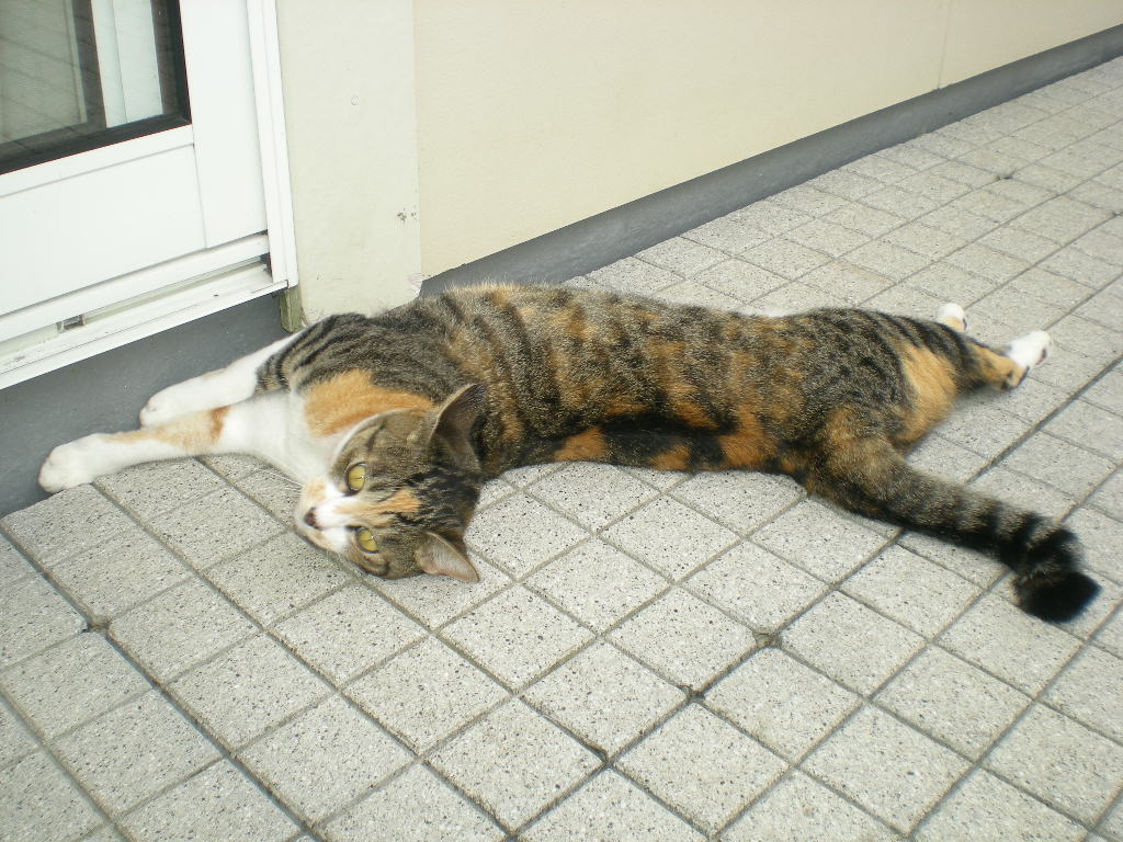 2010年8月14日(土)お盆休み③_f0060461_12245481.jpg