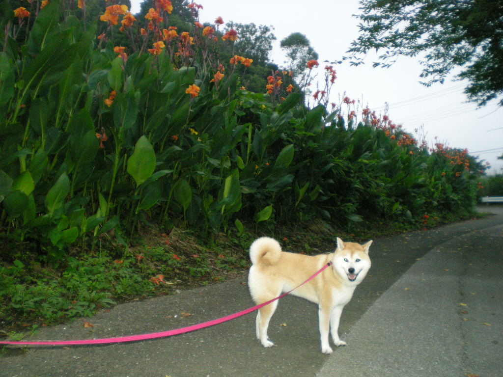 2010年8月14日(土)お盆休み③_f0060461_8524034.jpg