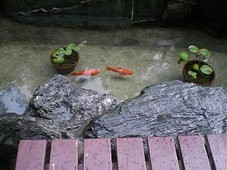 b0056570_0313582.jpg