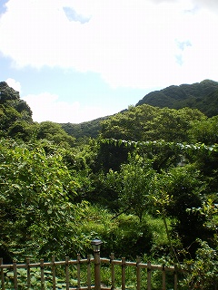 山湯の宿 花梨 下賀茂温泉 Manic Everyday