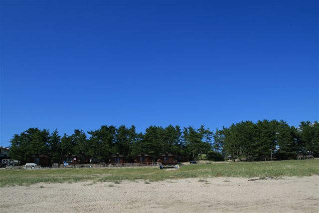 b0184974_703713.jpg