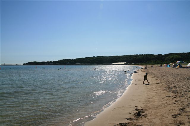 b0184974_71079.jpg