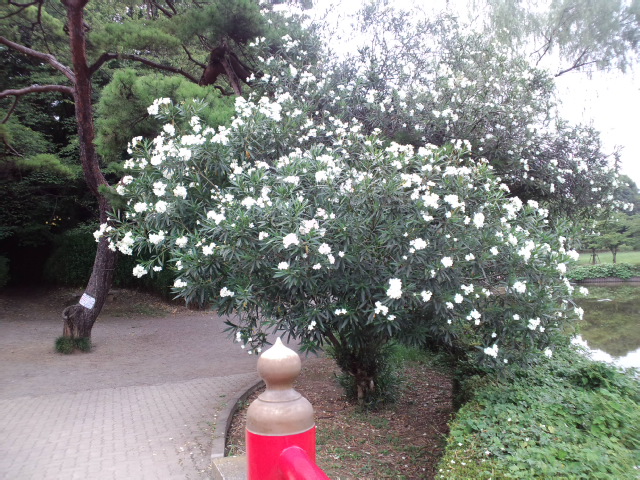 b0154898_16383930.jpg