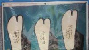 十六文キック_e0077899_21461619.jpg