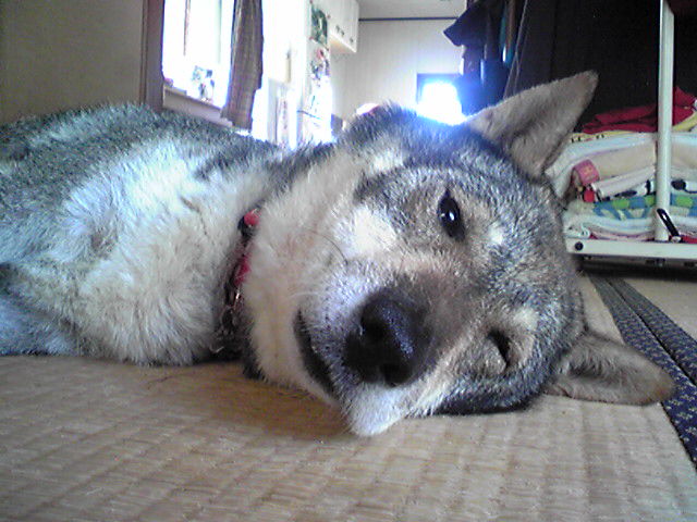 f0079202_845128.jpg