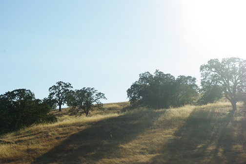 f0038904_335427.jpg