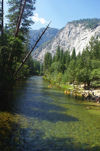  8/9 Yosemite National Park 2日目－④_f0038904_4131048.jpg