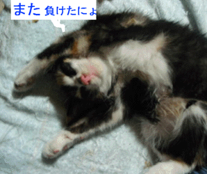 e0103408_194303.gif