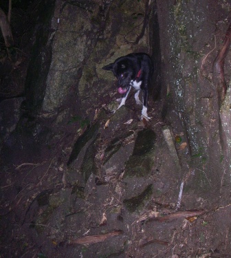 10.08.14(土) 納豆仮面犬_a0062810_737209.jpg