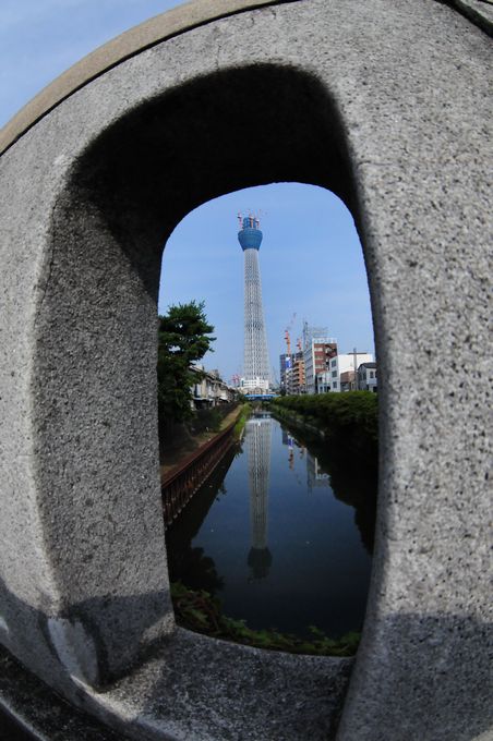 ４００ｍ超えた ～スカイツリー～_f0133213_2154239.jpg