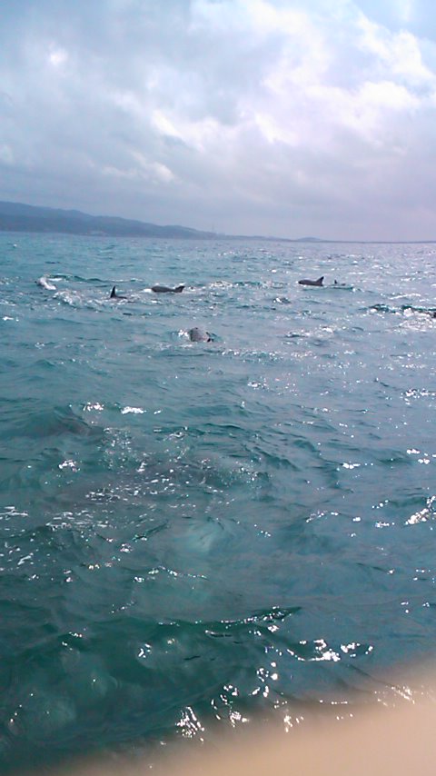 f0055423_4253740.jpg