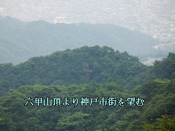 a0151727_1648494.gif