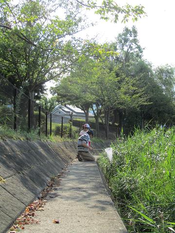 c0108128_2355034.jpg