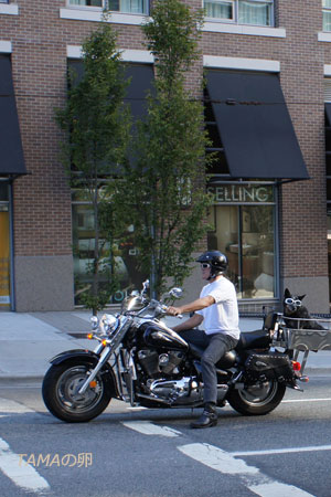 c0024729_1442532.jpg