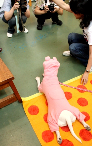 あさ、きょうはおねえちゃんがねぼうしたから、_c0192330_22391240.jpg