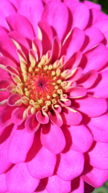 b0086931_1514843.jpg