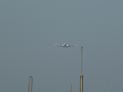 b0169238_21541486.jpg