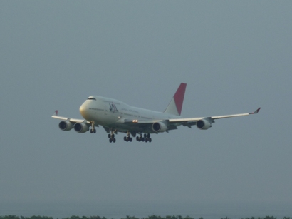 b0169238_21544789.jpg