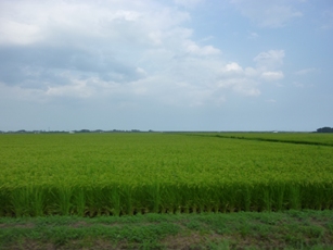 b0169238_220576.jpg