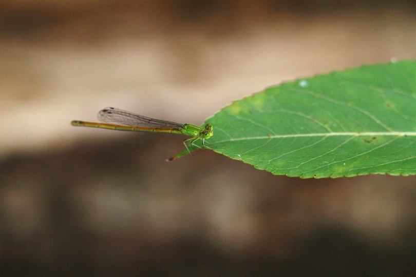 c0172139_2358155.jpg