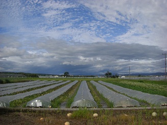 お気に入りのパン屋さん_a0159640_12475981.jpg