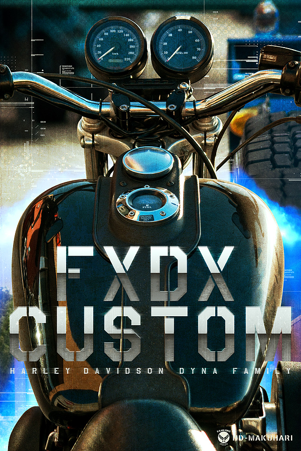 ■DYNA FXDX Graphic【グラフィック】_a0145047_2154851.jpg