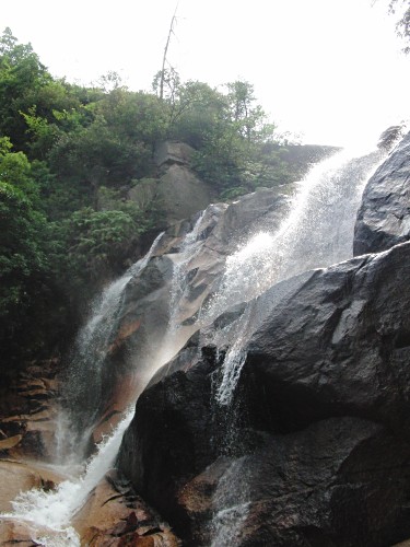 c0117150_12424871.jpg
