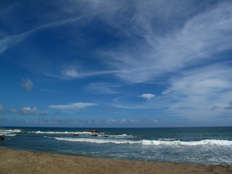 e0190252_2335425.jpg