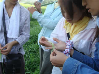 c0177665_10154927.jpg