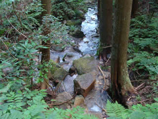 c0177665_10164872.jpg