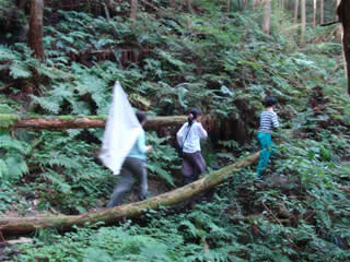c0177665_10165940.jpg