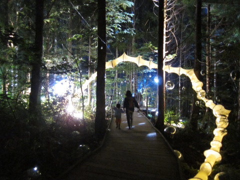 FUJI　ROCK　２０１０_a0167672_275339.jpg