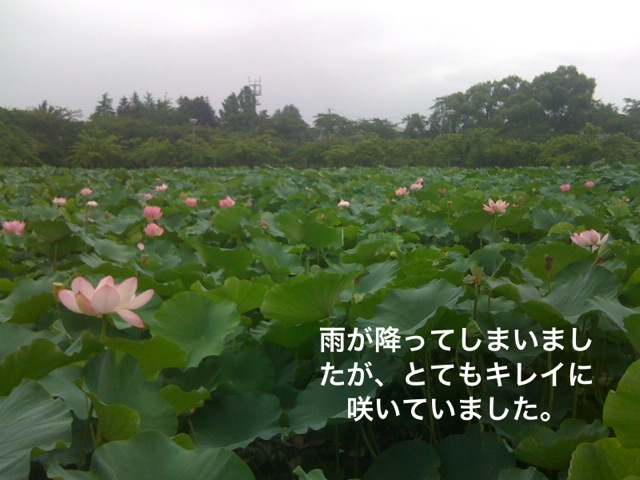 f0168374_13111177.jpg