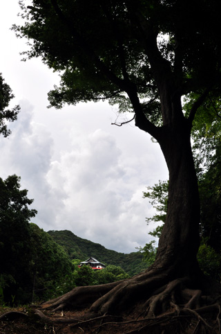 c0229485_1211463.jpg